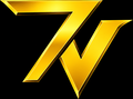 7 Vision Companies